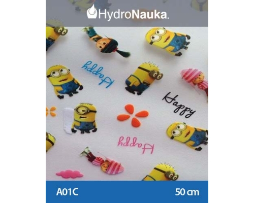 Folia do hydrografiki Minionki